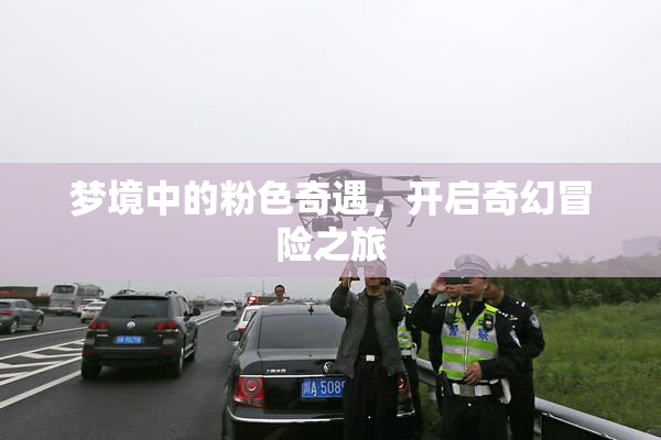 梦境中的粉色奇遇，开启奇幻冒险之旅