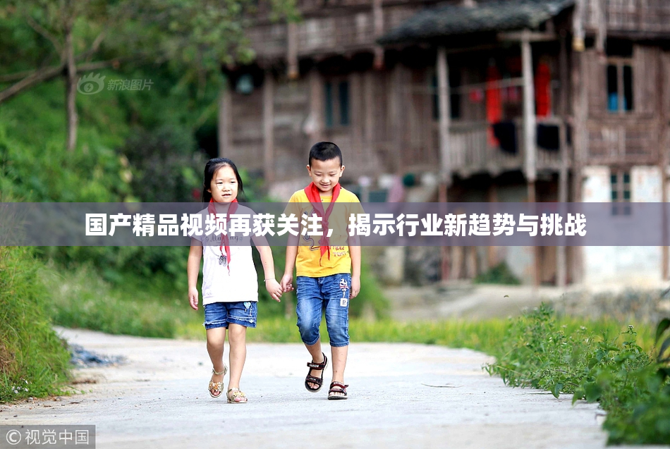 国产精品视频再获关注，揭示行业新趋势与挑战