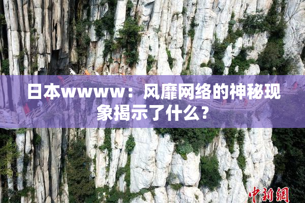 日本wwww：风靡网络的神秘现象揭示了什么？