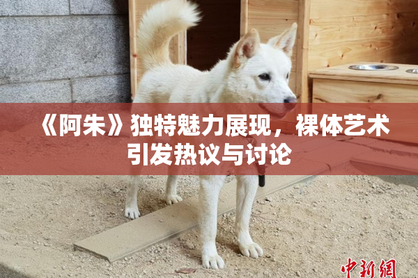 《阿朱》独特魅力展现，裸体艺术引发热议与讨论
