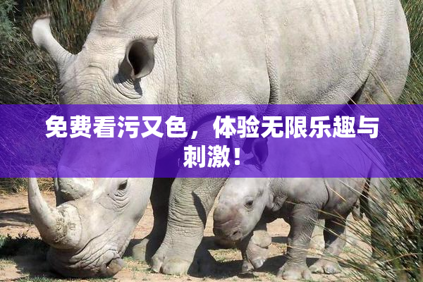 免费看污又色，体验无限乐趣与刺激！