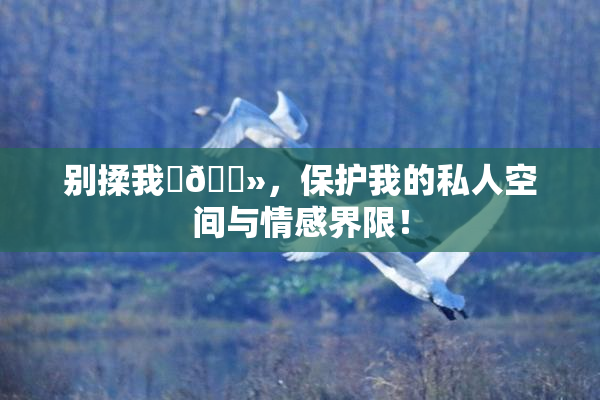 别揉我‌🐻，保护我的私人空间与情感界限！