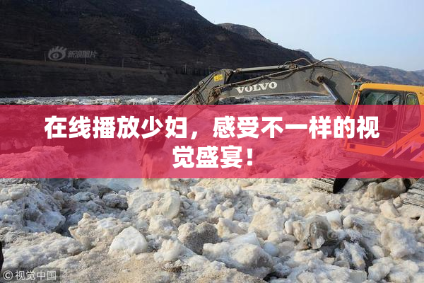 在线播放少妇，感受不一样的视觉盛宴！