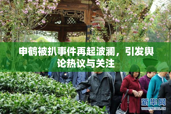 申鹤被扒事件再起波澜，引发舆论热议与关注