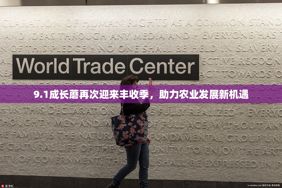 9.1成长蘑再次迎来丰收季，助力农业发展新机遇