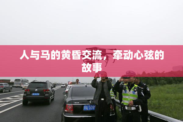 人与马的黄昏交流，牵动心弦的故事
