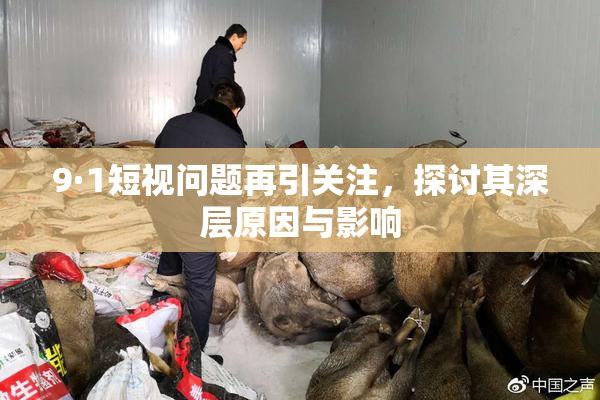 9·1短视问题再引关注，探讨其深层原因与影响