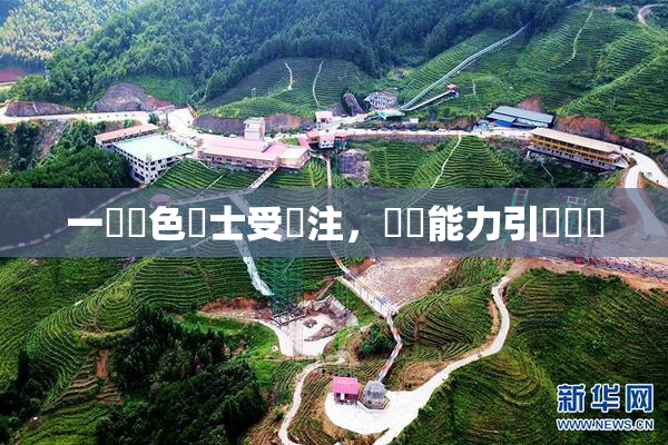一級黃色護士受關注，專業能力引發熱議