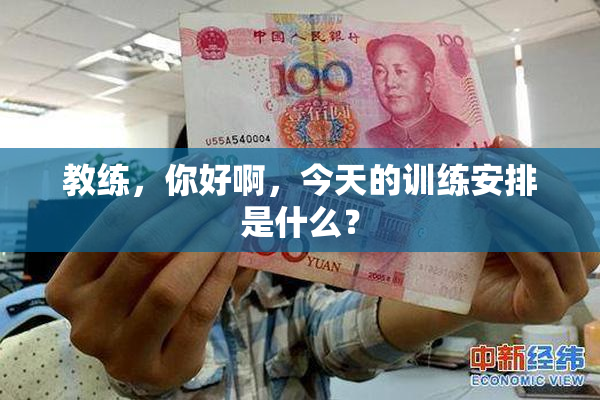 教练，你好啊，今天的训练安排是什么？