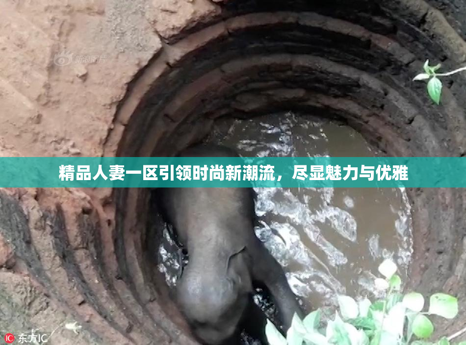 精品人妻一区引领时尚新潮流，尽显魅力与优雅