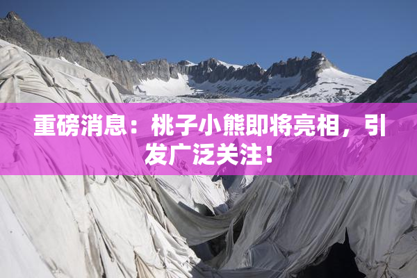 重磅消息：桃子小熊即将亮相，引发广泛关注！