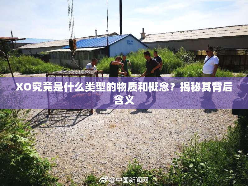 XO究竟是什么类型的物质和概念？揭秘其背后含义