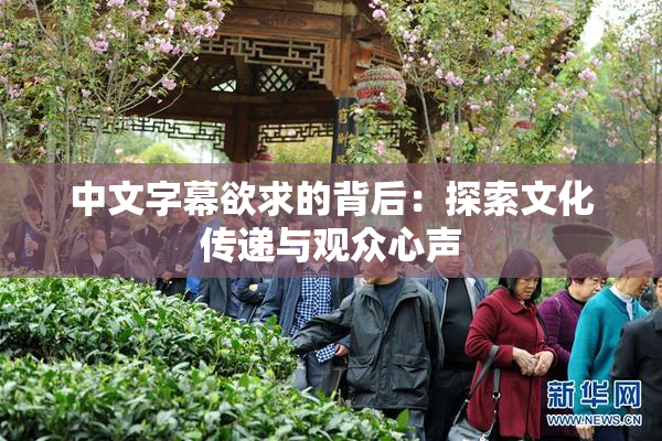 中文字幕欲求的背后：探索文化传递与观众心声