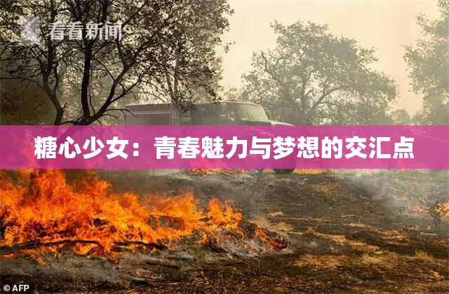 糖心少女：青春魅力与梦想的交汇点
