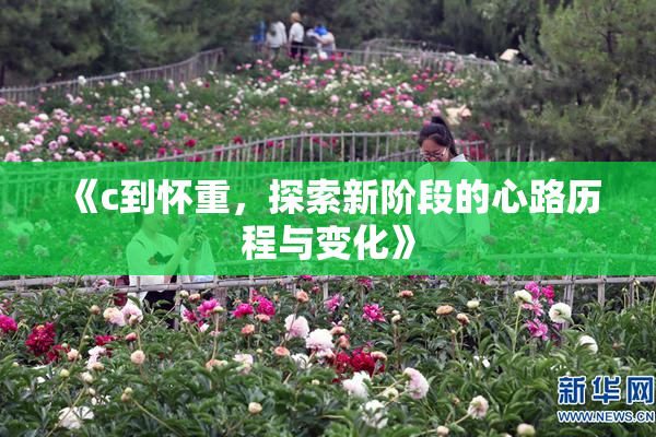 《c到怀重，探索新阶段的心路历程与变化》