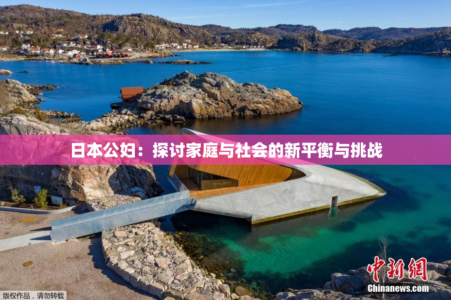 日本公妇：探讨家庭与社会的新平衡与挑战
