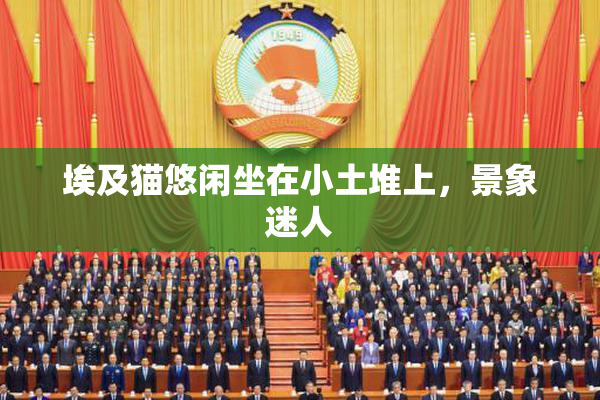 埃及猫悠闲坐在小土堆上，景象迷人