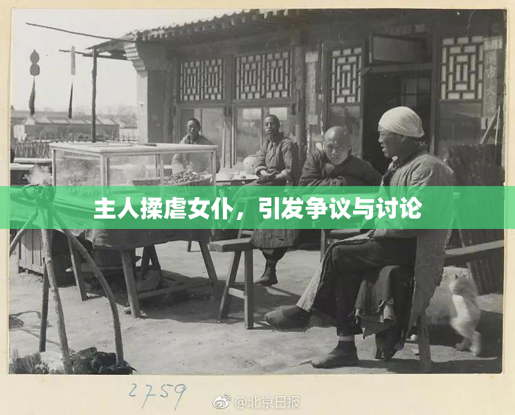 主人揉虐女仆，引发争议与讨论