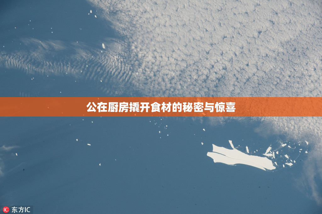 公在厨房撬开食材的秘密与惊喜