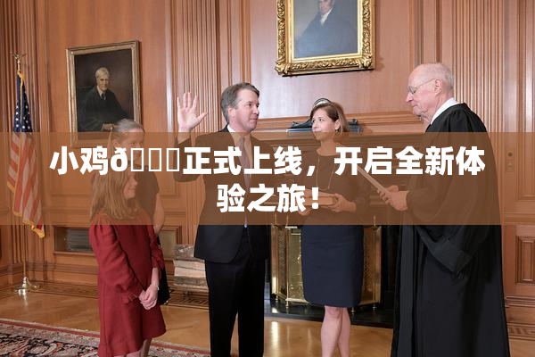 小鸡🐔正式上线，开启全新体验之旅！