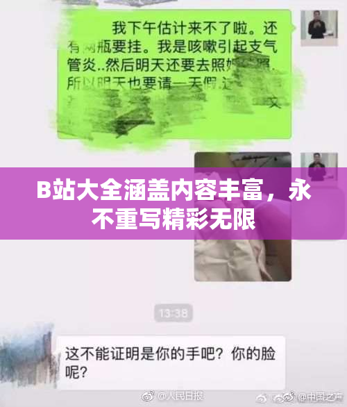 B站大全涵盖内容丰富，永不重写精彩无限