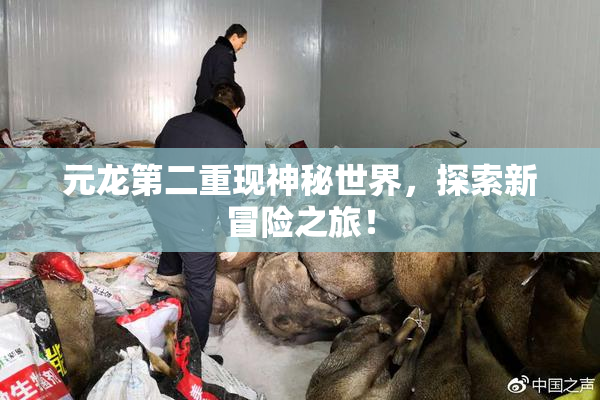 元龙第二重现神秘世界，探索新冒险之旅！