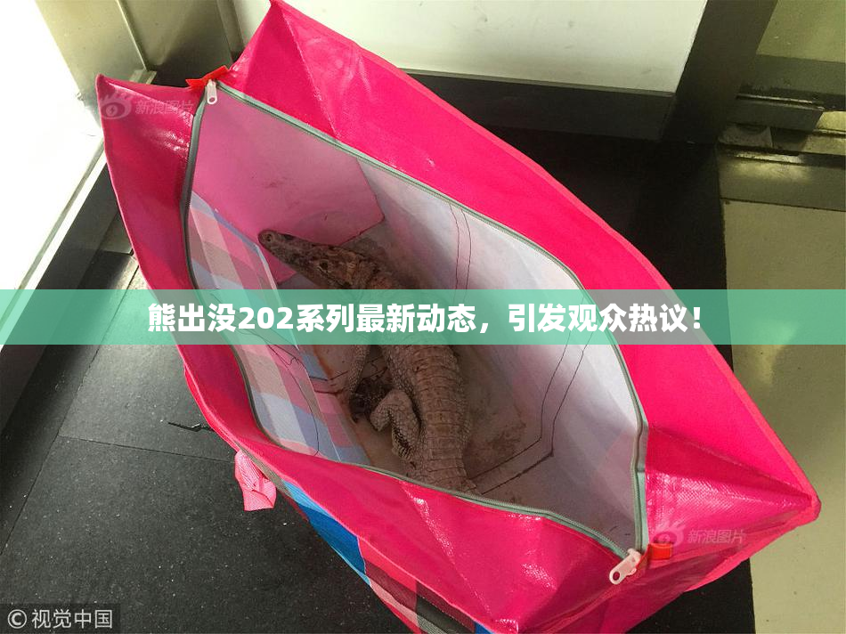 熊出没202系列最新动态，引发观众热议！