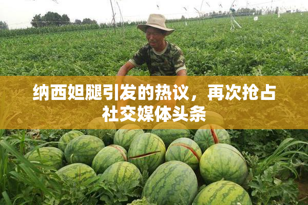 纳西妲腿引发的热议，再次抢占社交媒体头条