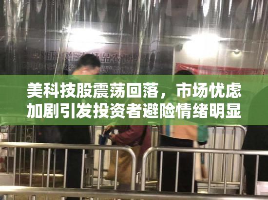 美科技股震荡回落，市场忧虑加剧引发投资者避险情绪明显上升