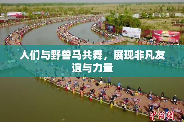 人们与野兽马共舞，展现非凡友谊与力量