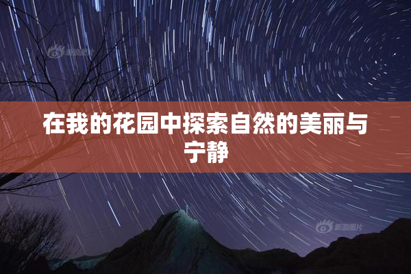 在我的花园中探索自然的美丽与宁静