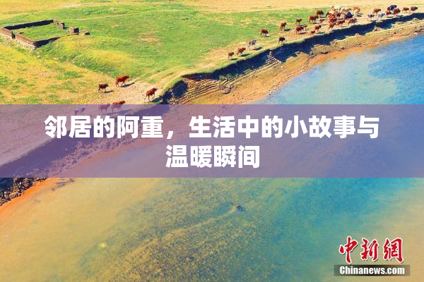 邻居的阿重，生活中的小故事与温暖瞬间
