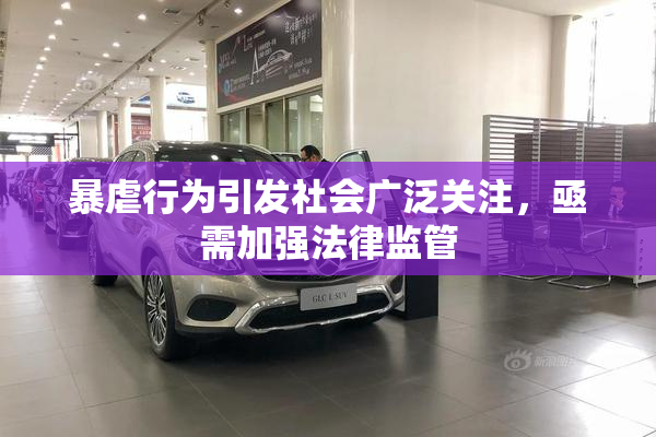 暴虐行为引发社会广泛关注，亟需加强法律监管