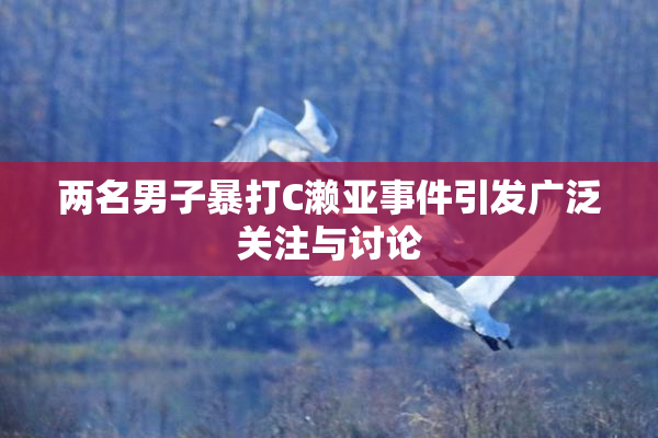 两名男子暴打C濑亚事件引发广泛关注与讨论