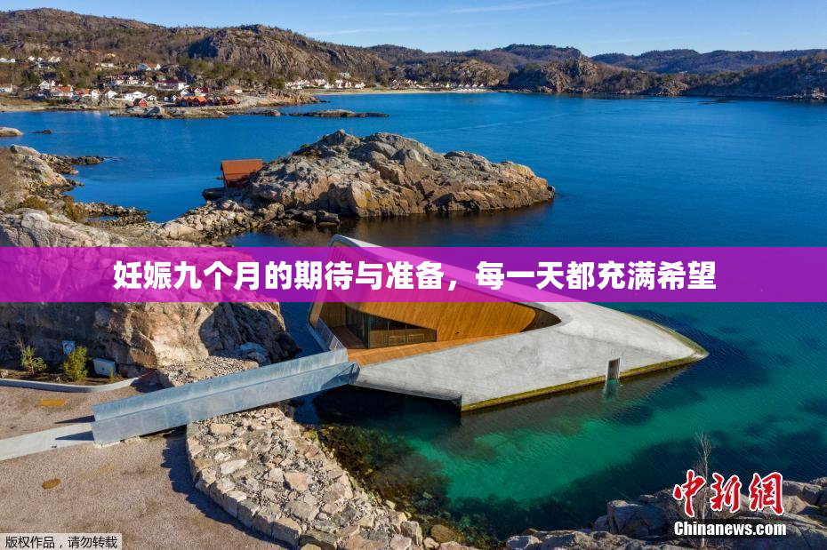 妊娠九个月的期待与准备，每一天都充满希望