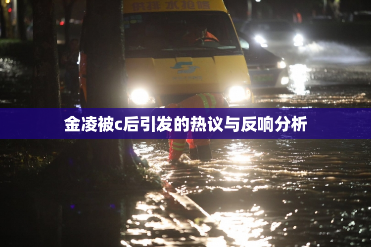 金凌被c后引发的热议与反响分析