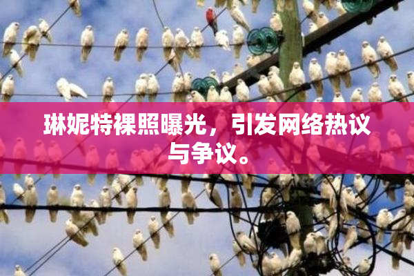 琳妮特裸照曝光，引发网络热议与争议。