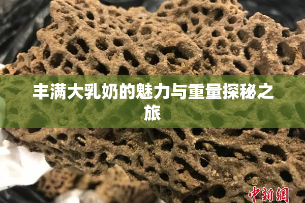 丰满大乳奶的魅力与重量探秘之旅