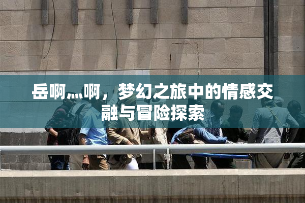 岳啊灬啊，梦幻之旅中的情感交融与冒险探索