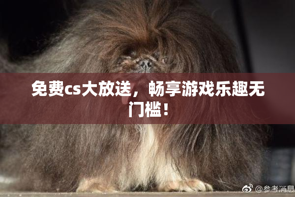免费cs大放送，畅享游戏乐趣无门槛！