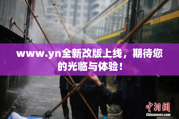 www.yn全新改版上线，期待您的光临与体验！