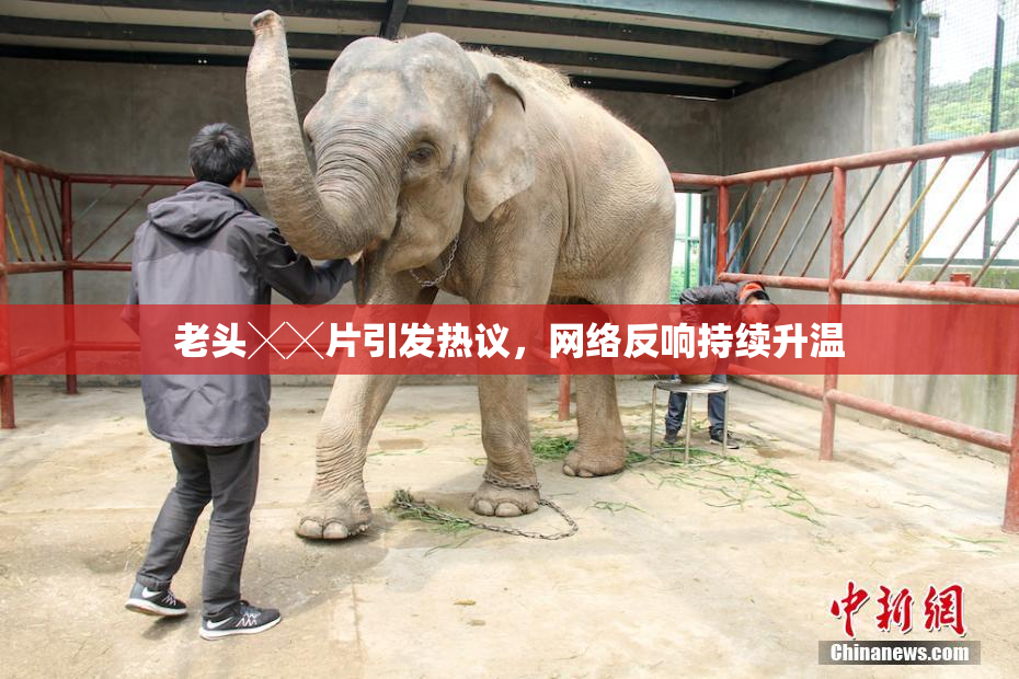 老头╳╳片引发热议，网络反响持续升温
