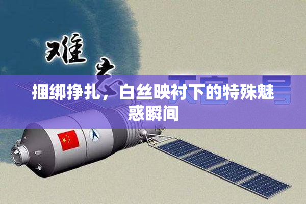 捆绑挣扎，白丝映衬下的特殊魅惑瞬间