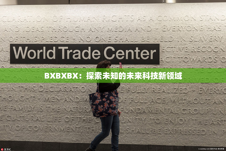 BXBXBX：探索未知的未来科技新领域