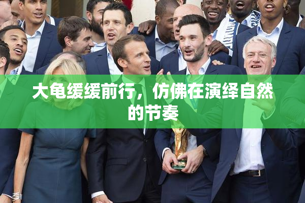 大龟缓缓前行，仿佛在演绎自然的节奏