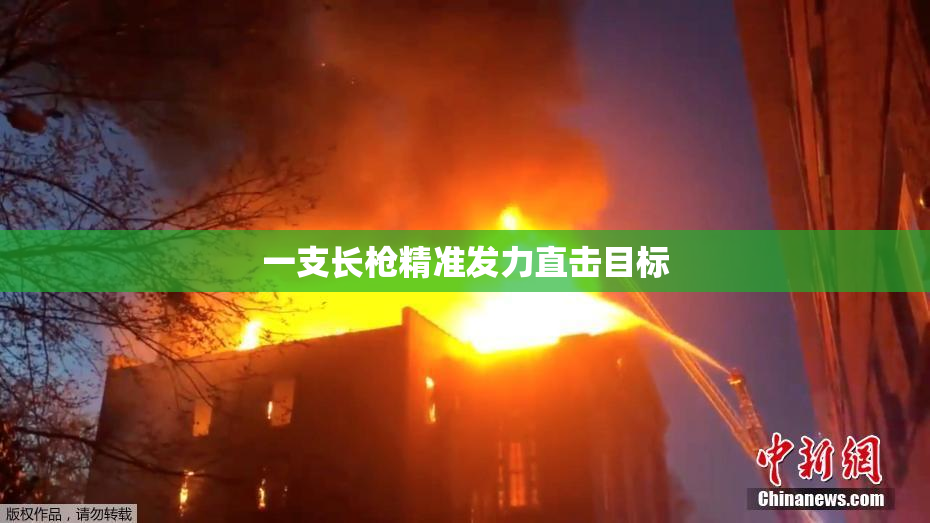 一支长枪精准发力直击目标