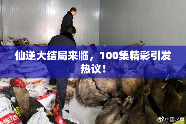 仙逆大结局来临，100集精彩引发热议！