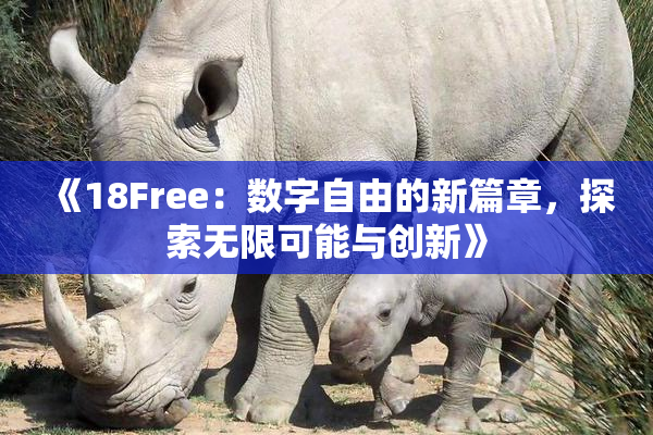 《18Free：数字自由的新篇章，探索无限可能与创新》