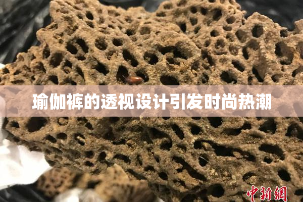 瑜伽裤的透视设计引发时尚热潮