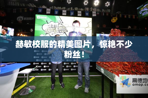 赫敏校服的精美图片，惊艳不少粉丝！
